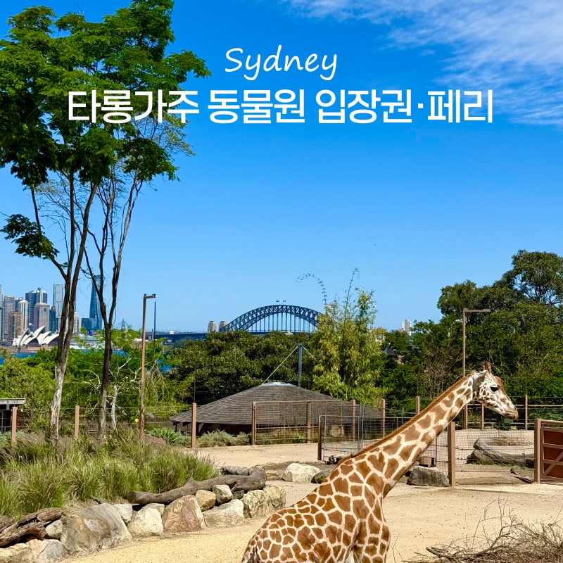 사진 7