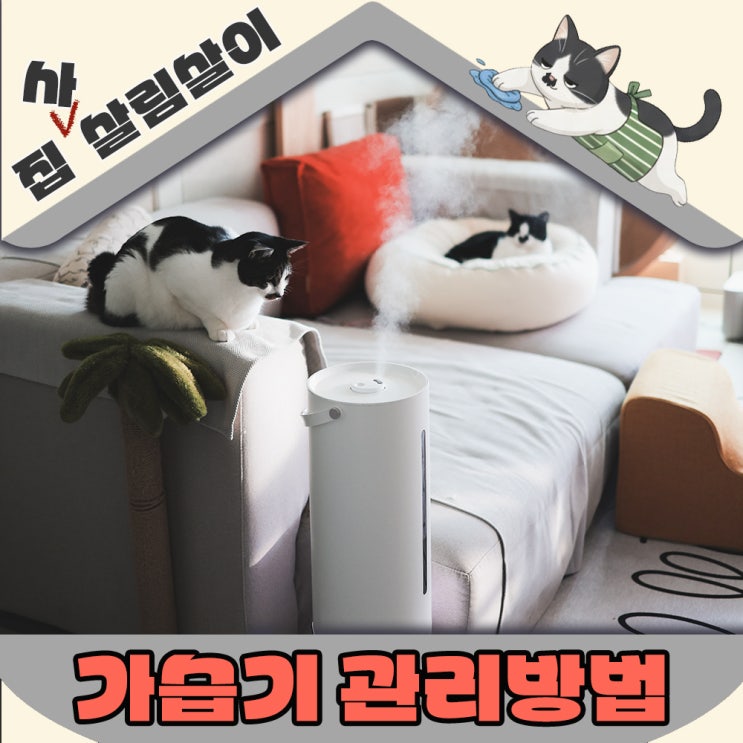  건조한 가을 고양이반려가정 가습기 관리방법