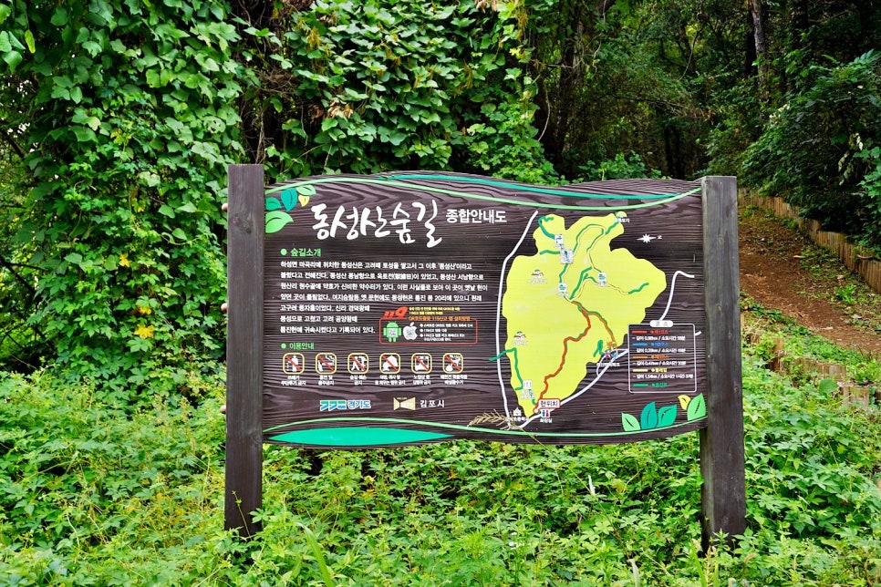 동성산 사진 2