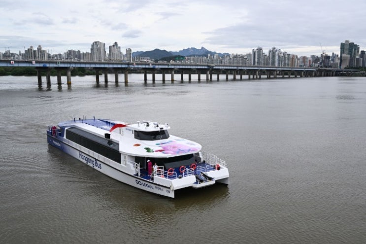 <b>한강버스</b>, <b>사고</b> 나도 ‘예인... 서울시 “문제 없다” 주장 <b>논란</b>