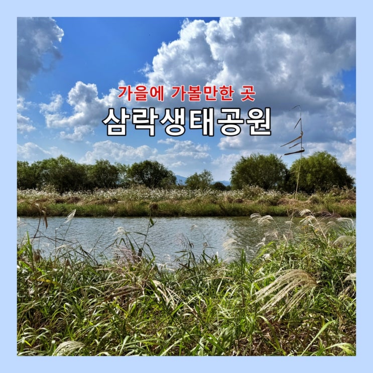 가을에 가볼만한 곳,  부산 삼락생태공원