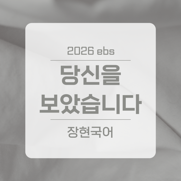  한용운, 당신을 보았습니다 쉽고 자세한 해설 ㅣ 2026 수특 41p