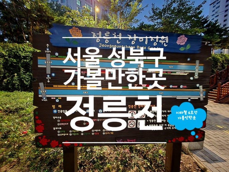  서울 성북구 가볼만한곳 정릉천 산책로 러닝하기 좋은 장소