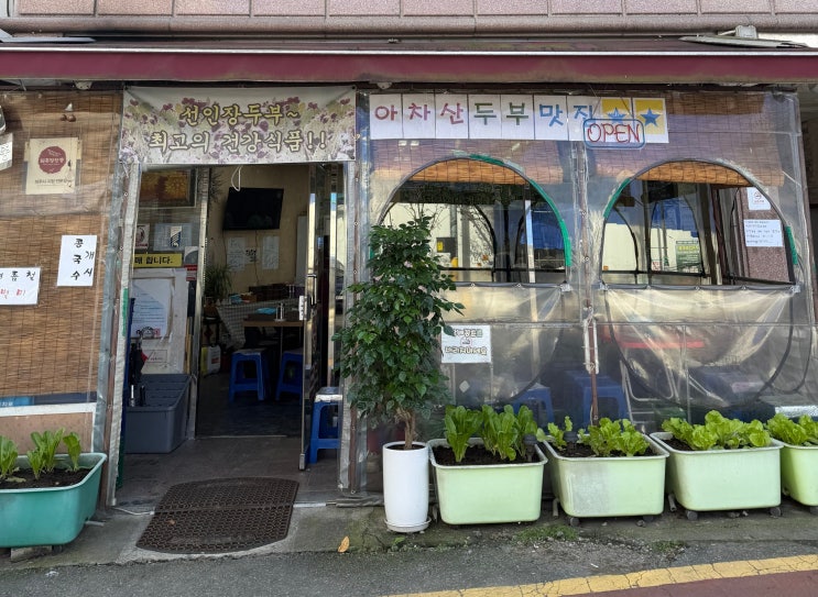 아차산 등산후 꼭 먹어야할 맛집 선인장두부 감자전 내돈내산 솔직후기