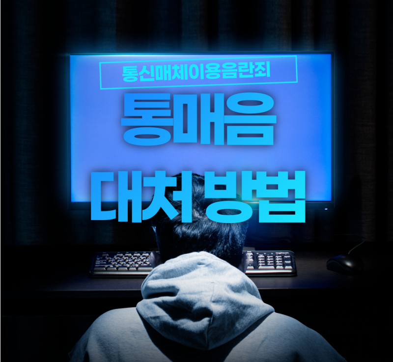 통신매체음란죄 통매음 선처 해결 방안 관련 이미지 1