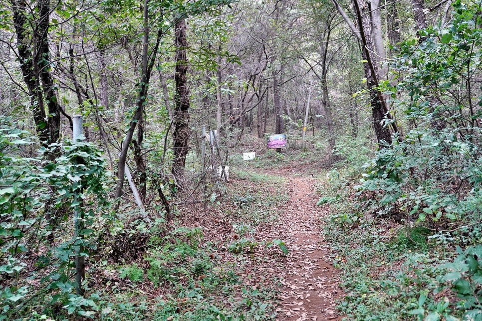 동성산 사진 6