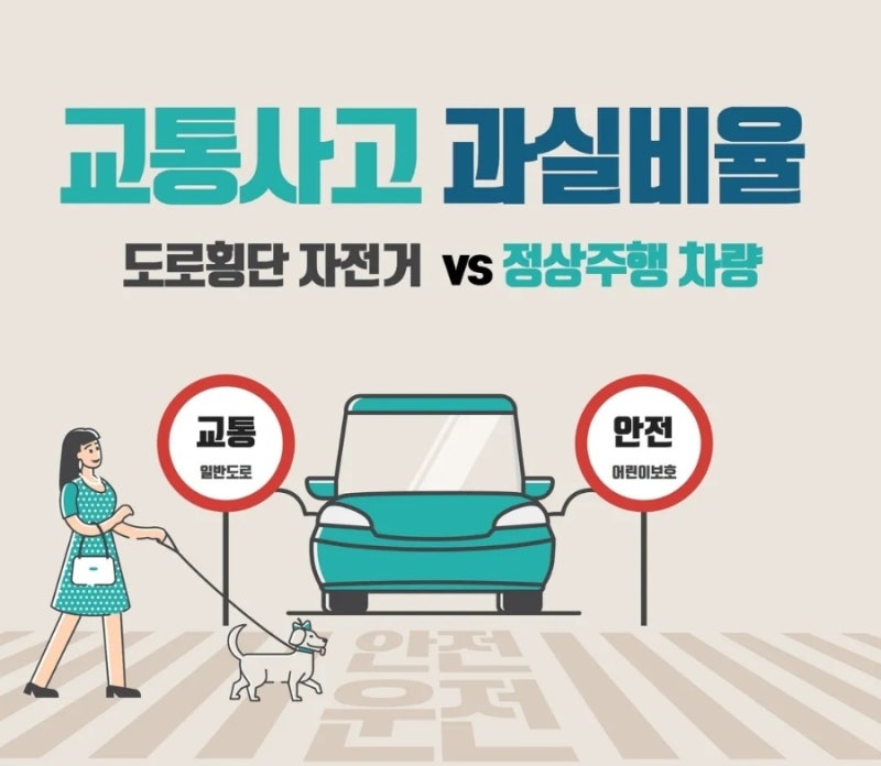 [차 대 자전거] 자전거 도로횡단 중 차량과 충돌한 경우, 과실비율은? 관련 이미지 1