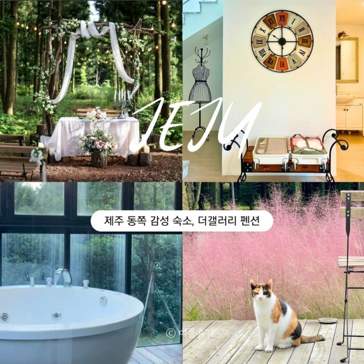  제주 더갤러리 펜션 제주 동쪽 감성 숙소 독채 풀빌라 자쿠지 바베큐 사려니 숲길 근처