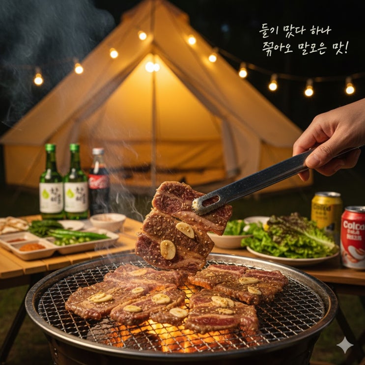  "둘이 먹다 하나 죽어도 모르는 맛?! 캠핑용 고기선생 소갈비살 600g 후기"