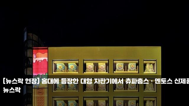 [뉴스락 현장] 홍대에 등장한 대형 자판기에서... 