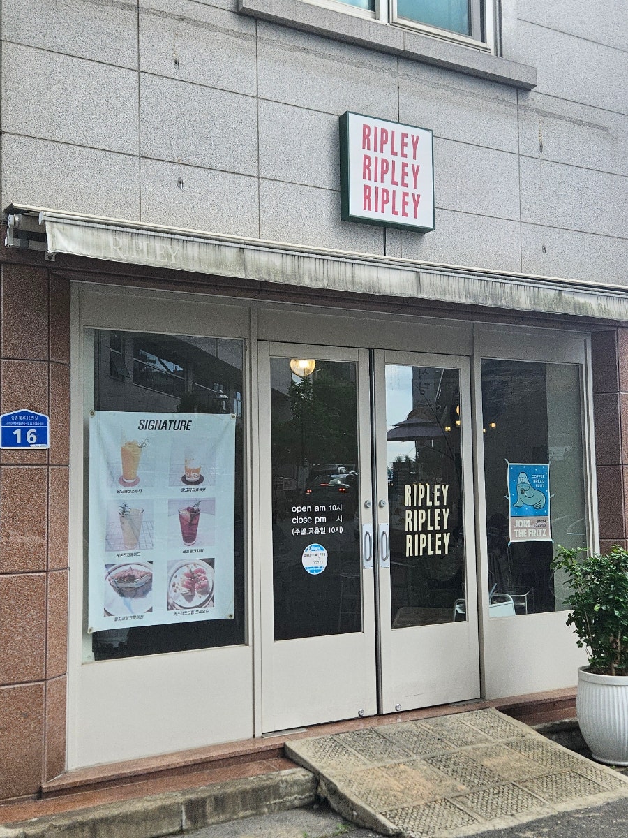 리플리 사진 1