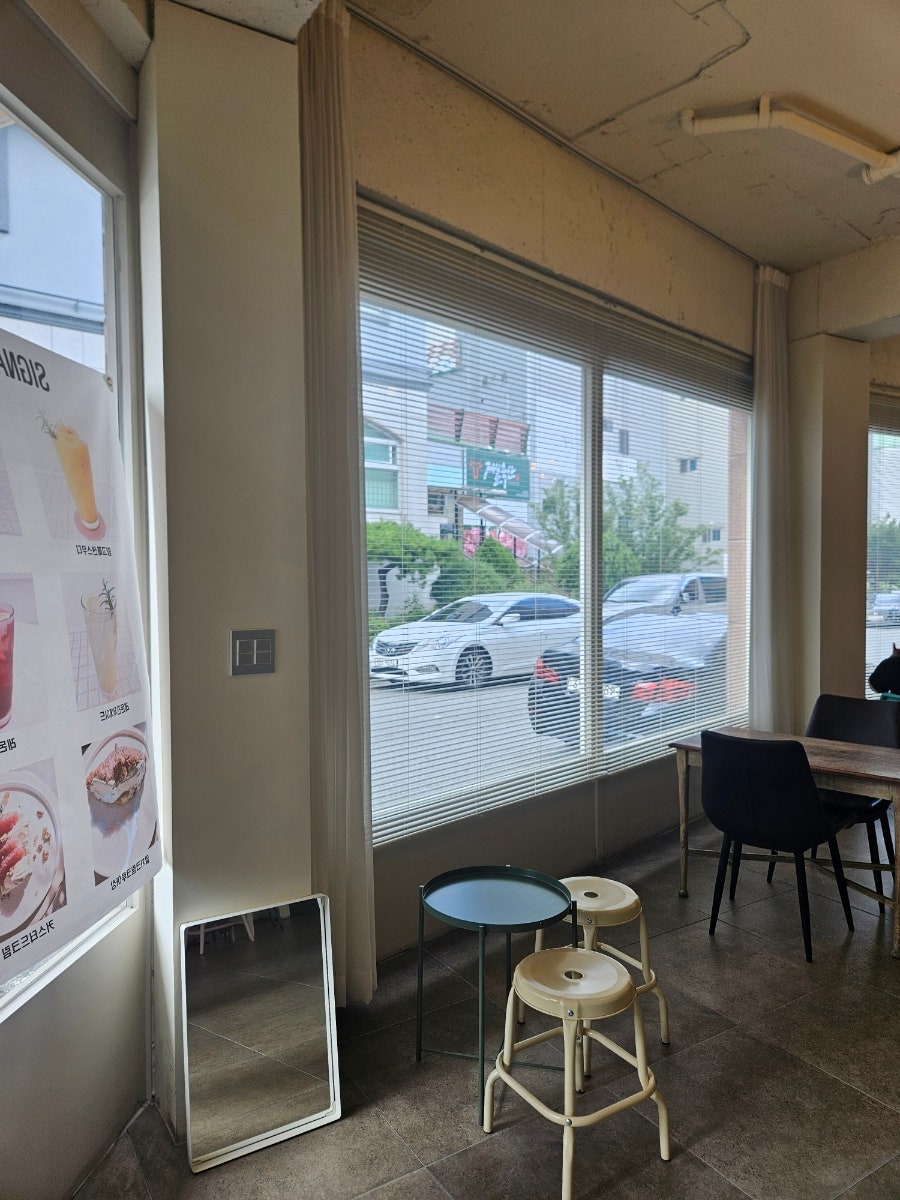 리플리 사진 4