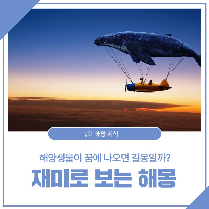 국립해양박물관 [해양 이야기] 해양생물이 꿈에 나오면 길몽일까? 재미로 보는 해몽