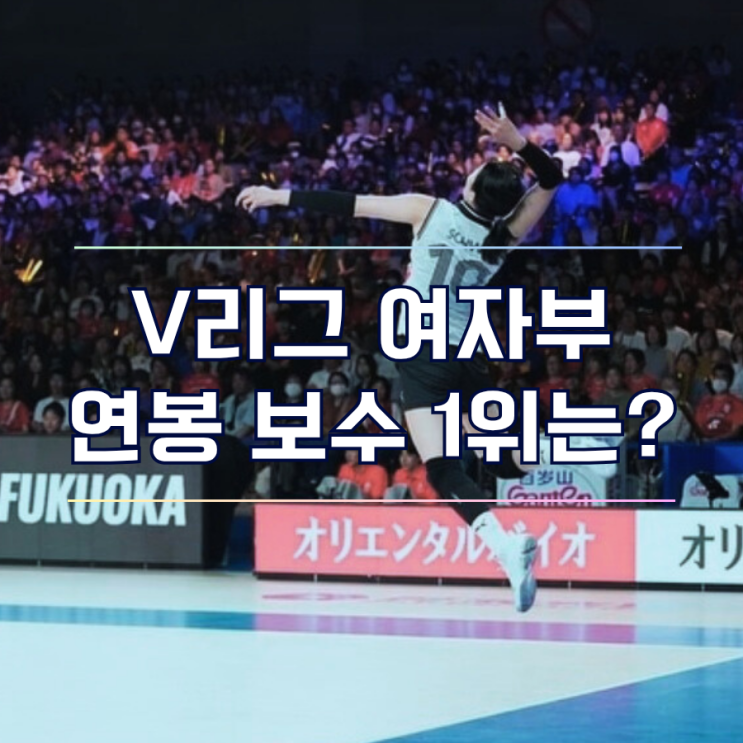  국내 프로 여자배구 선수 V리그 연봉 보수 순위 TOP10