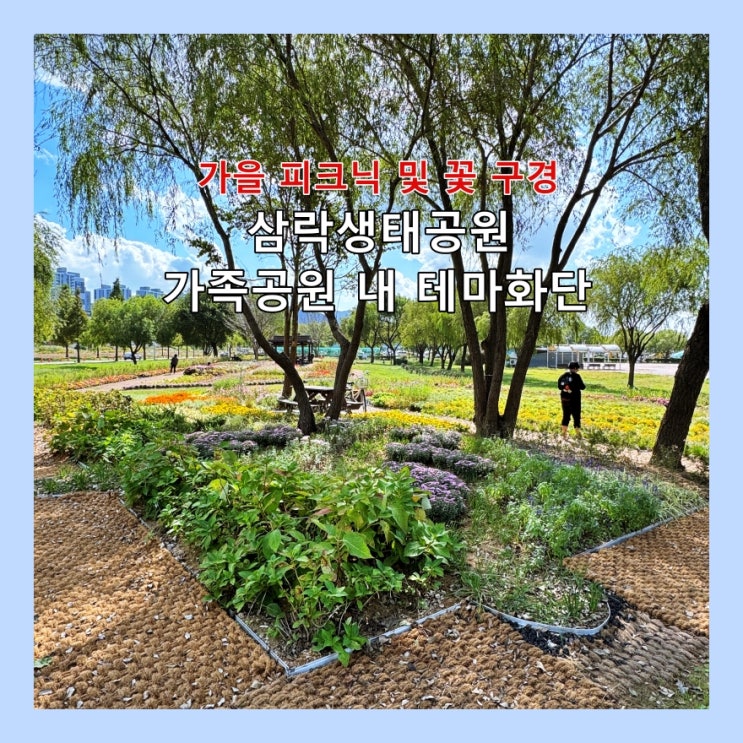  [부산] 삼락생태공원 가족공원 내 테마화단, 피크닉과 함께 가을꽃 구경