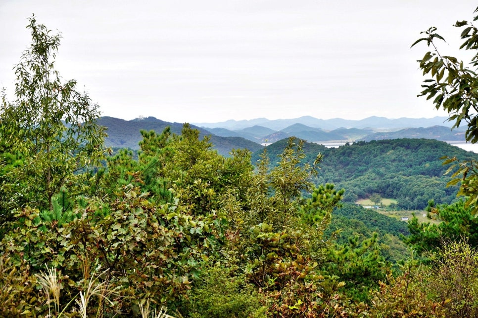 동성산 사진 1