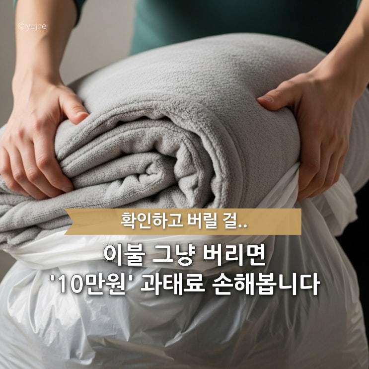  주부 커뮤니티 뒤집은 '이불 버리는 법' 논쟁, 과태료 10만 원은 결국 지역별 차이?