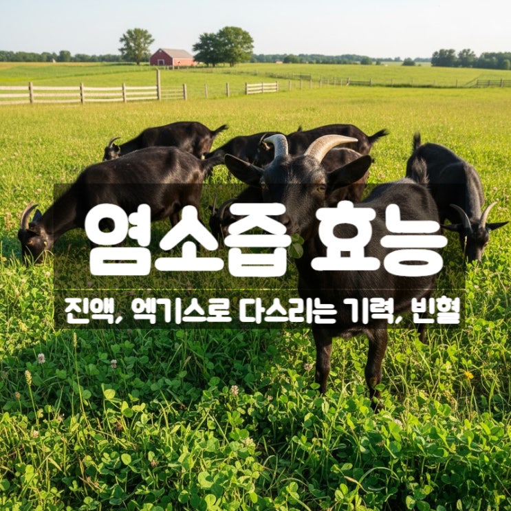  염소즙 효능 부작용 먹는법 - 진액 엑기스로 다스리는 기력과 빈혈