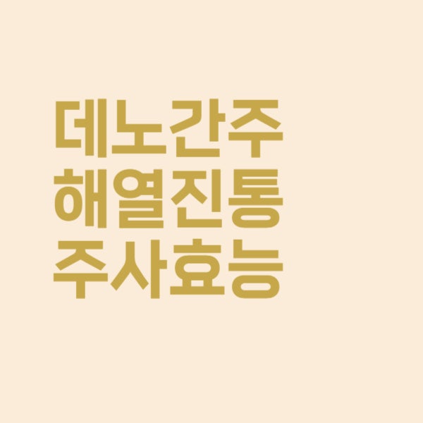  데노간주 해열진통제 주사 효능 부작용 핵심만 쏙쏙
