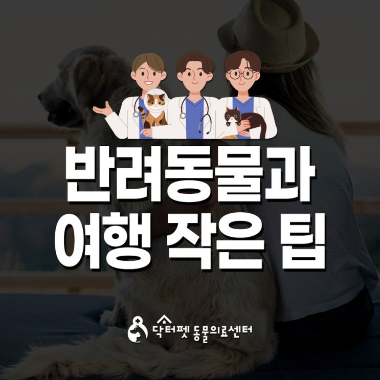  56% 반려인이 여행 포기하는 이유! 반려동물과 동반 여행 작은 팁 부산 동물병원