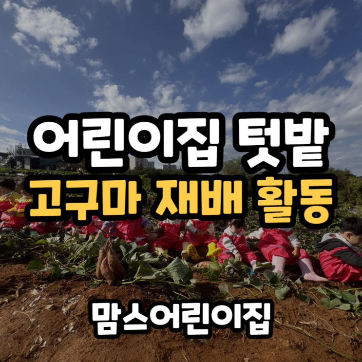  어린이집 텃밭활동 자체 텃밭에서하는 고구마 재배 야외활동