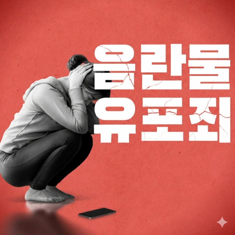 음란물유포죄 처벌 걱정된다면 관련 이미지 1
