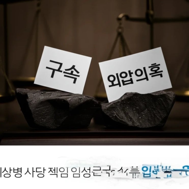 <b>채상병</b> 사망 책임 임성근 구속, <b>수사</b> 외압 <b>의혹</b>은?