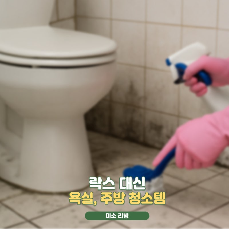 락스대신 화장실청소 과탄산소다 구연산 대체제 사용방법