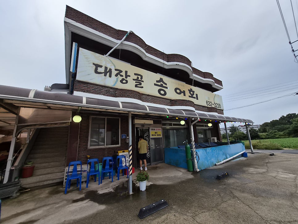 대장골송어회 사진 2
