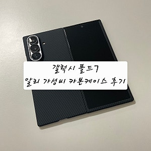 갤럭시 Z 폴드 7 카본 케이스 가성비 제품 추천