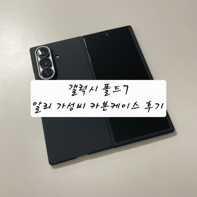 갤럭시 Z 폴드 7 카본 케이스 가성비 제품 추천