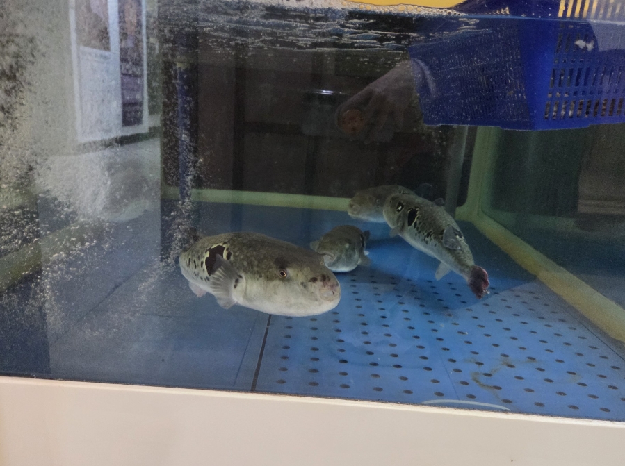 금복집 사진 4