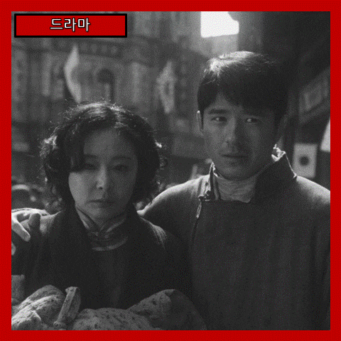  [드라마] '난징사진관' 전쟁의 비극을 기록한 빛, 필름에 담김 1937년의 진실 (줄거리 리뷰 분석 후기)