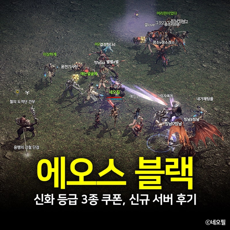 사진 7