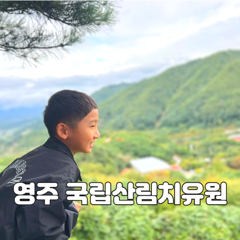 영주 국립 산림 치유원 - 숙소 숙박 식사 카페 숲산책