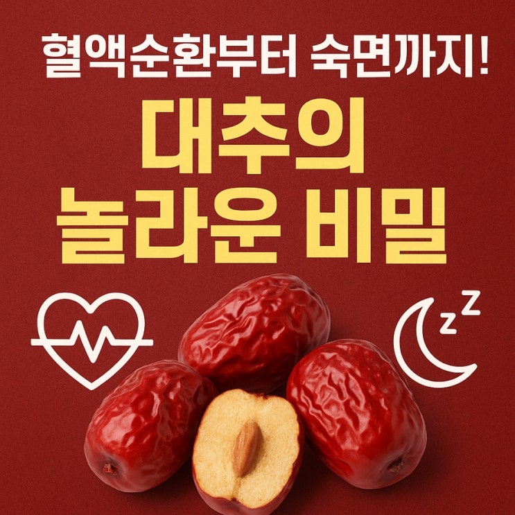  대추 효능 총정리  피로 회복부터 면역력 강화까지! 자연이 준 건강 간식