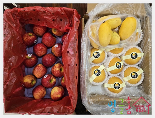   필리핀 유학, 그리고 새로운 도전 — 잉글홈의 다음 목표