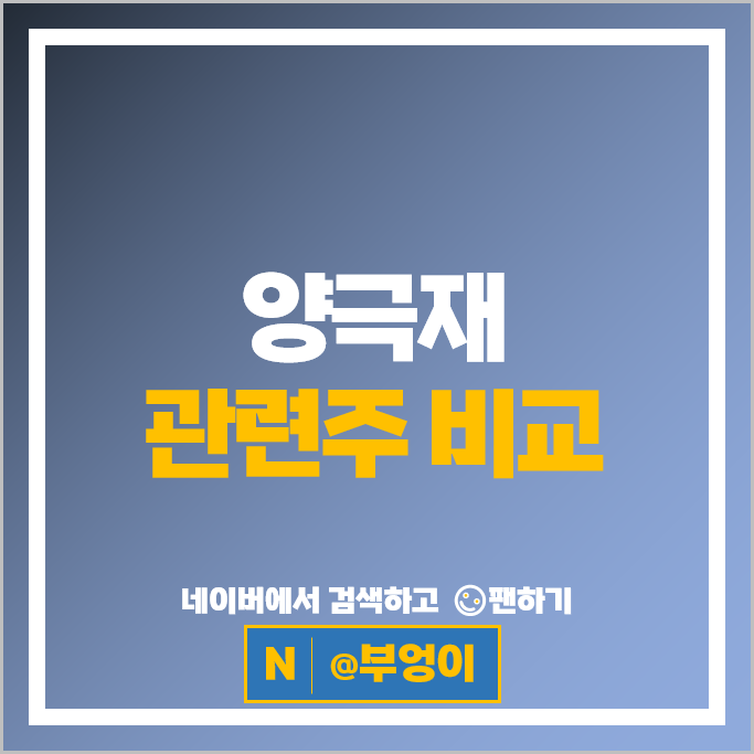 2차전지 양극재 관련주 엘앤에프 코스모신소재 주가 코스모화학 주식