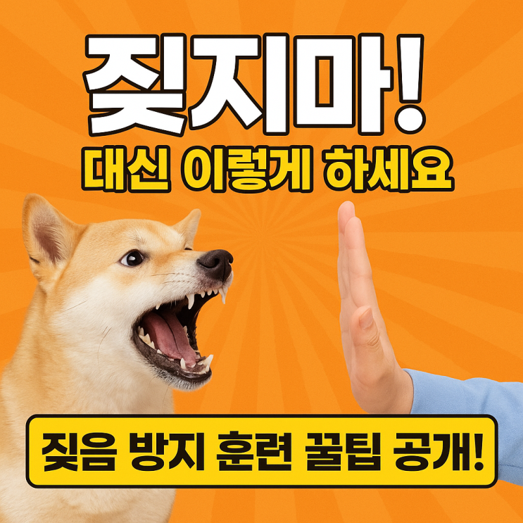  강아지 짖음 멈추는 마법! 짖음 방지 훈련 꿀팁 총정리 