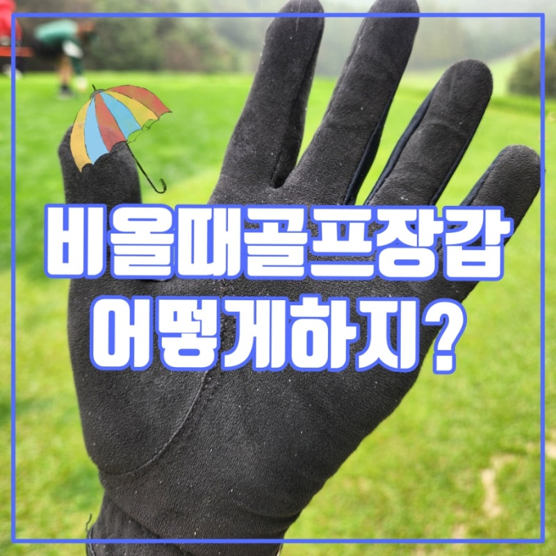 비올때골프장갑 어떻하지? 4년째 잘 쓰는 풋조이 레인그립 장갑 솔직 후기