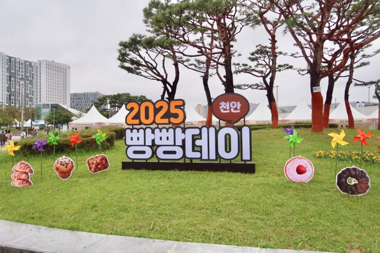  천안 빵지순례 10월 국내축제 2025 빵빵데이 천안 호두과자 만들기 체험 후기