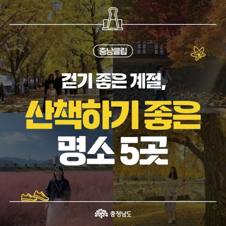충남 가볼만한곳 걷기 좋은 계절, 산책하기 좋은 명소 5곳 | 충남도청페이스북