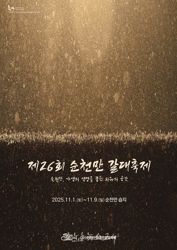  황금빛 갈대의 향연, 제26회 순천만 갈대축제 개최