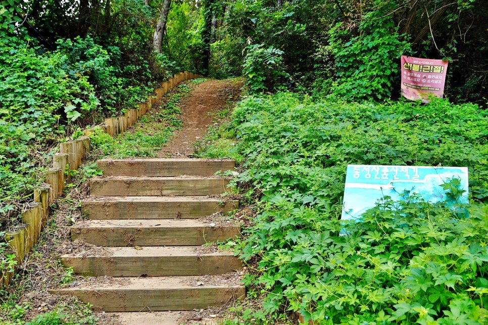 동성산 사진 5