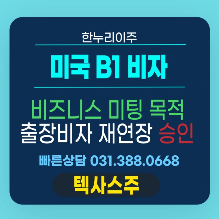  미국 비즈니스 미팅 목적 출장 비자 진행 후  B1 발급