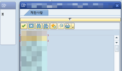  SAP ABAP -  팝업 화면 표출 시 'M' 이 입력된 화면이 뜰 경우