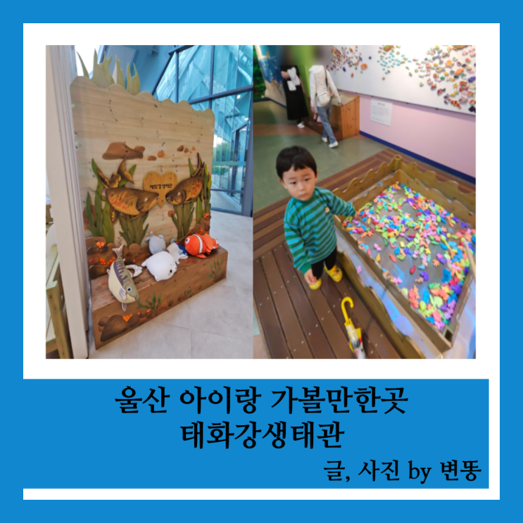  울산 아이랑 가볼만한곳: 태화강생태관(주말 10시반 도착 주차자리없구요. 물빛놀이터 너무 사람많아서 이용 못했습니다.)