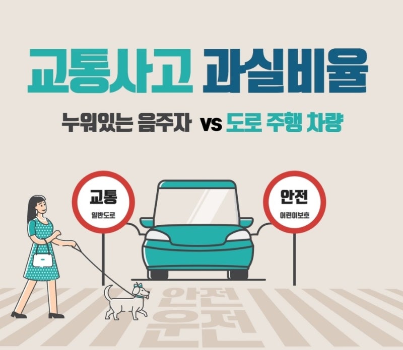 [차 대 사람] 술에 취해 도로에 누워 있던 사람과 차량이 충돌한 경우, 과실비율은? 관련 이미지 1