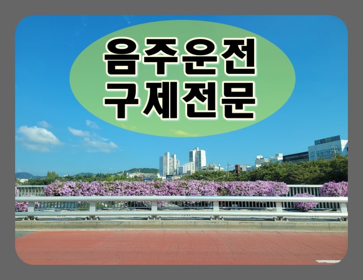  구리음주운전면허취소 구제 생계 수단이라면