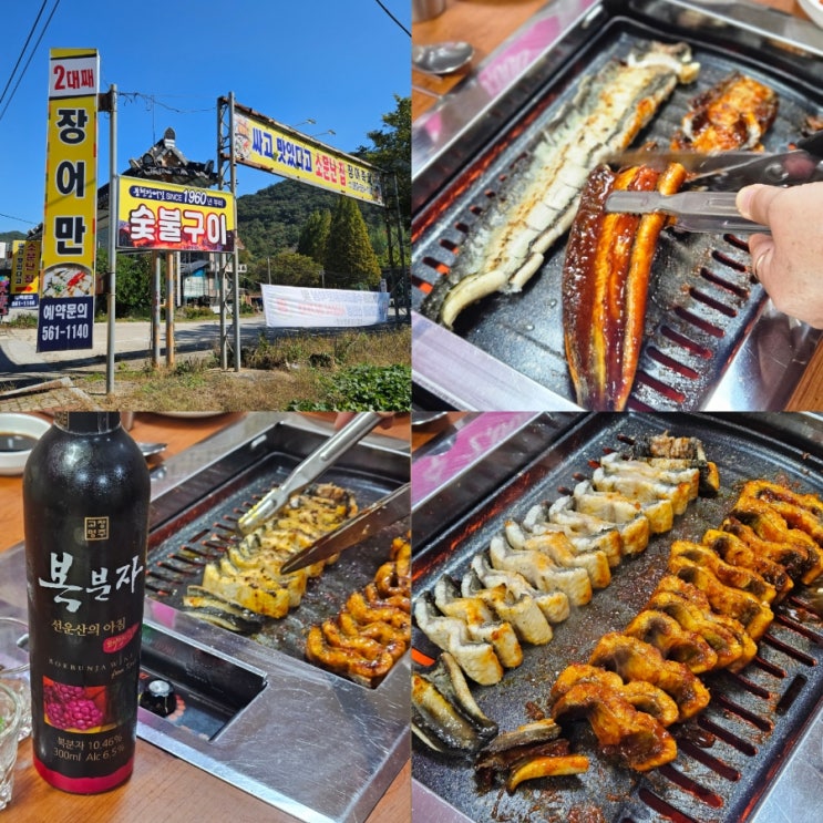  전북 고창 맛집 선운산 선운사 근처 장어만 장어구이 후기